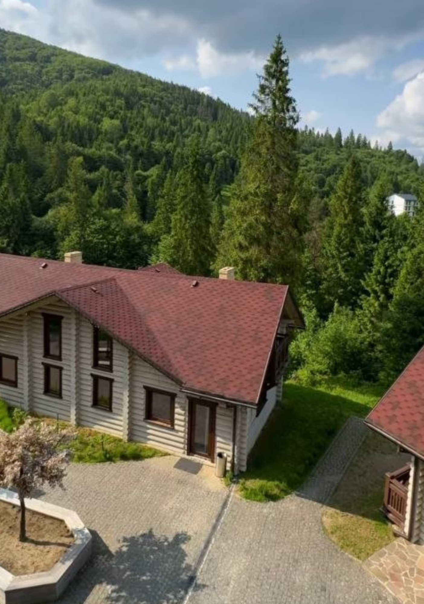 Timber chalets of the resort beneath forested Carpathian slopes